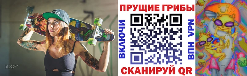 Купить  Окуловка  Псилоцибиновые грибы ЛСД 